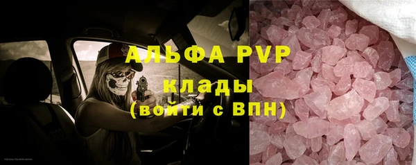 кокс Белокуриха