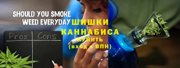 индика Беломорск