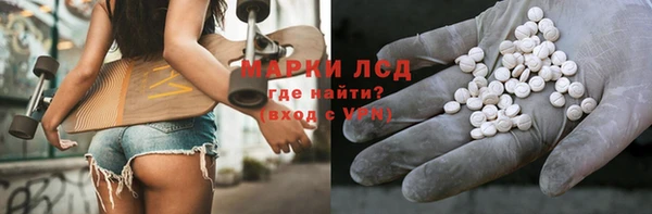 индика Беломорск