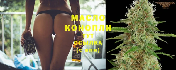 индика Беломорск